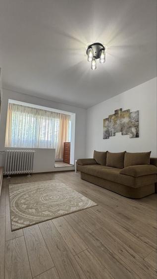 Apartament 2 camere Gorjului - 2