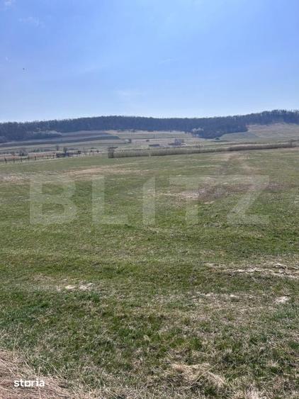 Teren de 1900 mp, în Dumitra