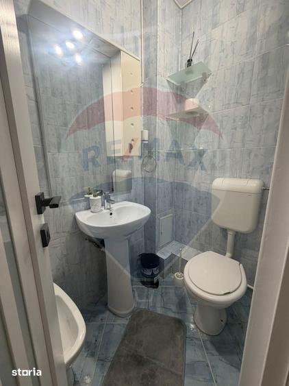 Apartament cu 3 camere decomandat, mobilat în Craiovița Nouă