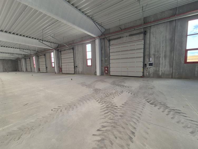Hală industrială de 1.200 mp de închiriat – Chitila, acces rapid DNCB - 5