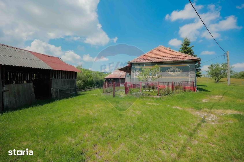 Casă cu 5 camere cu Teren 55706 Mp în Șinteu