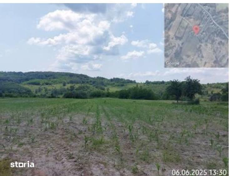 Teren de 6015 mp, în Bustuchin