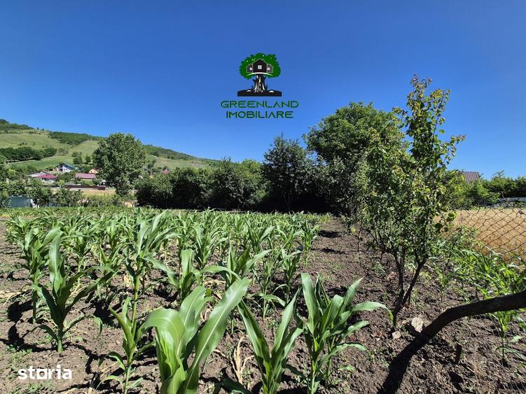 Casă cu 4 camere cu Teren 3024 Mp în Popricani