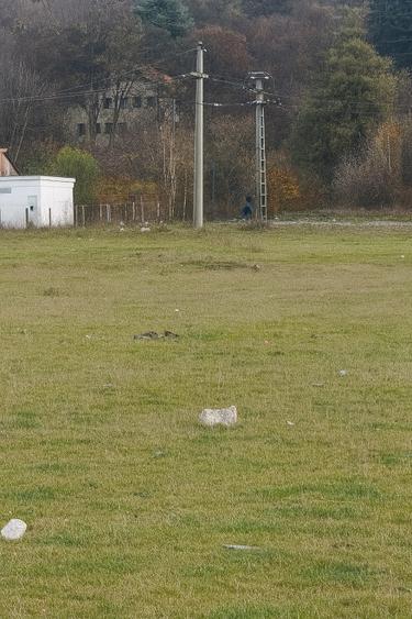 Teren Intravilan 700 mp  Bartolomeu - 1