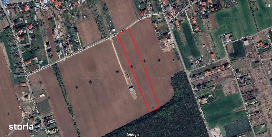 8.500 mp cu deschidere la padure, dubla deschidere Snagov Ghermanesti - 2