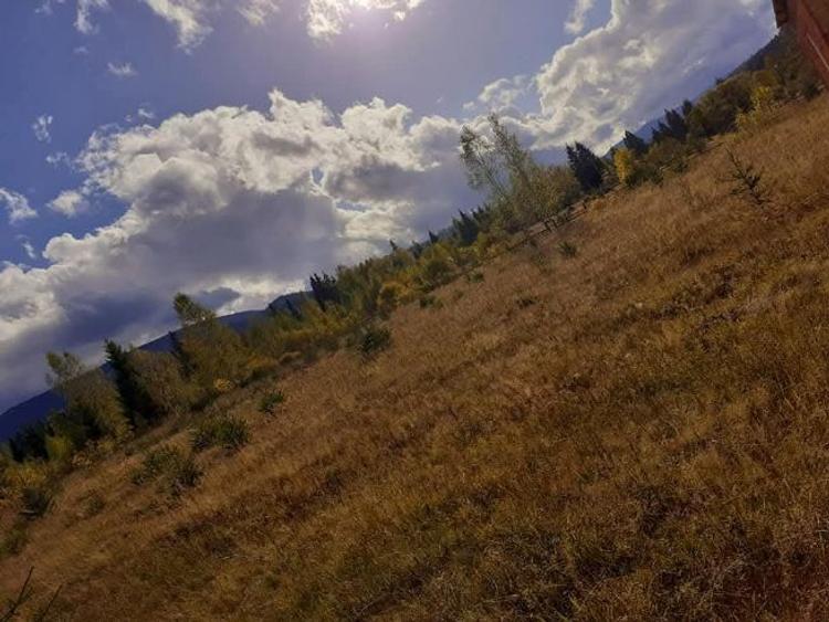 Vand teren intravilan - 2