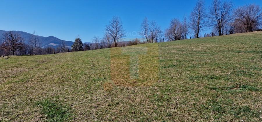 Teren intravilan de 4.000 mp în Bistrița – Alexandru cel Bun - 17