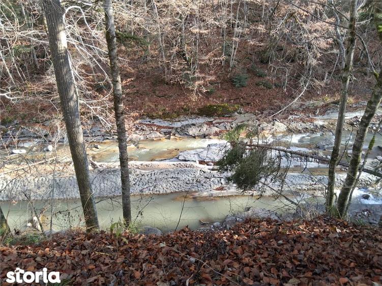 Vand teren in Brates, Neamt, cu iesire la raul Tarcau - 4