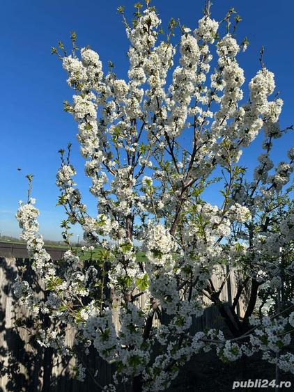 Casa de vanzare, in Slobozia, cartierul Peri - 6