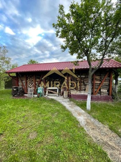 Vanzari Case / vile - 6