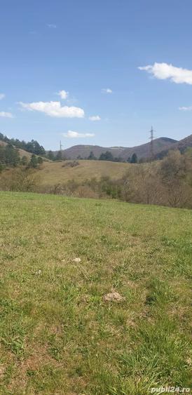 Teren de 5742 mp, în Bratca