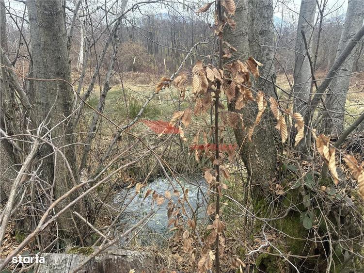 Teren cu 2 izvoare, Prundul Bargaului - 3