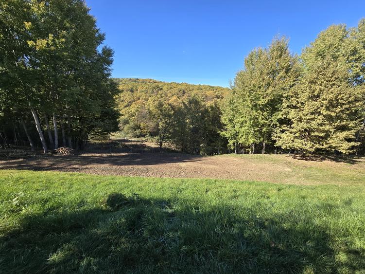 Teren 775 mp, inconjurat de padure, Cisnadioara-Apfelhaus - 1