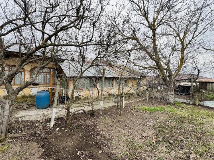 Casa Batraneasca-7 Camere+Beci-Centrul Comunei Greaca(657 Mp Teren) - 5