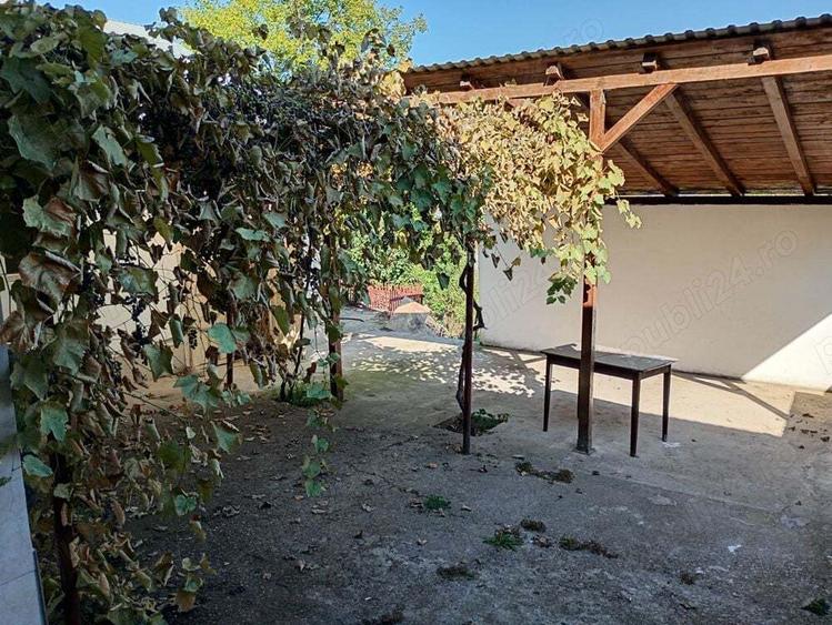 Casa de vanzare sat E?elni?a, in Clisura Dunarii cu vedere par?iala la Dunare - 3