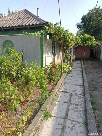 Casa batraneasca de vanzare in Sulina - 2