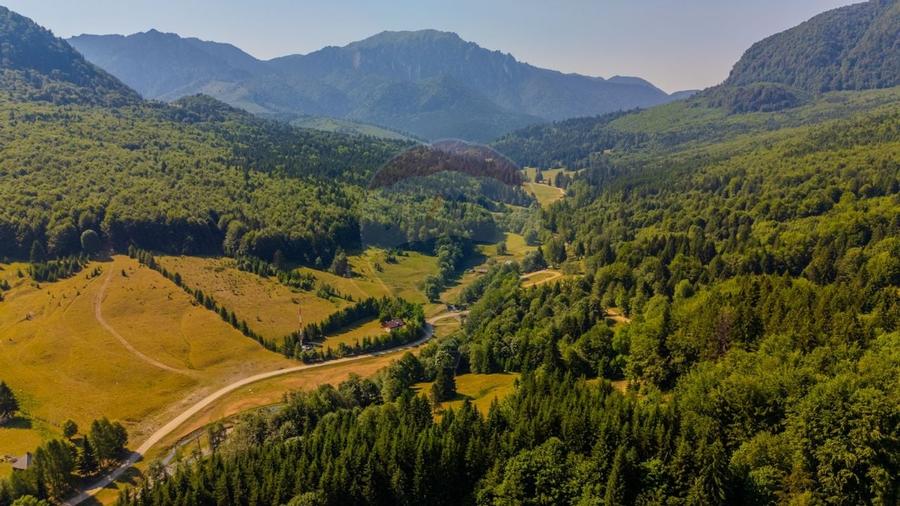 Teren 20000 mp, sat Dalghiu, com Vama Buzaului - 10