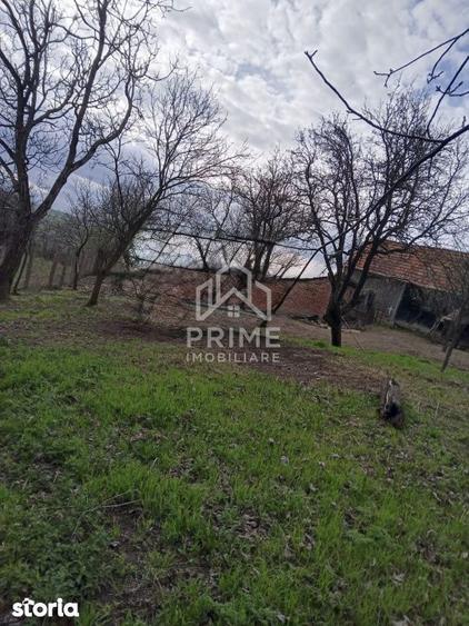 Casa Individuala 4 camere | 140 mp | Ghirbom, Com. Berghin | 1708 mp T - 1