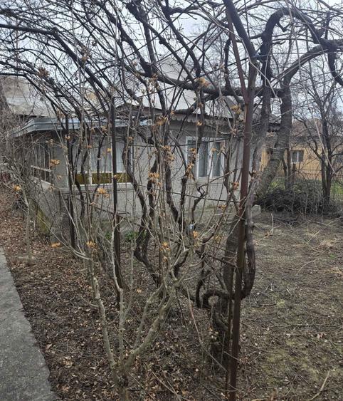 Teren intravilan de vanzare 2700 mp ideal investitie sau constructie - 3