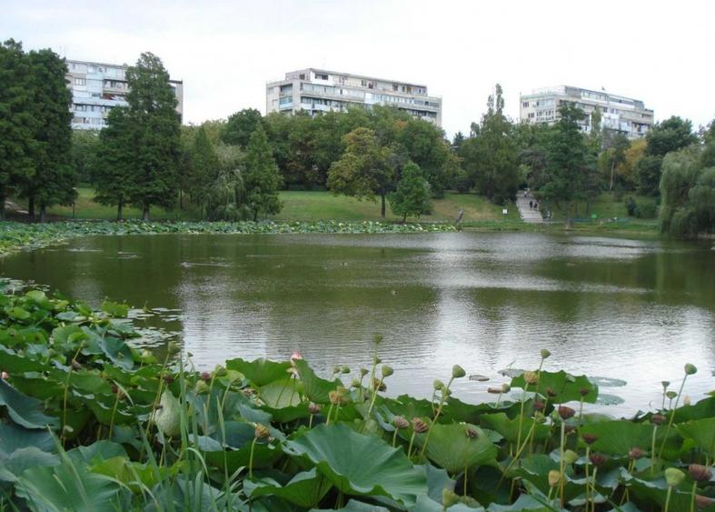 De inchiriat. Apartament 3 camere Pacul Circului cu vedere la parc - 3