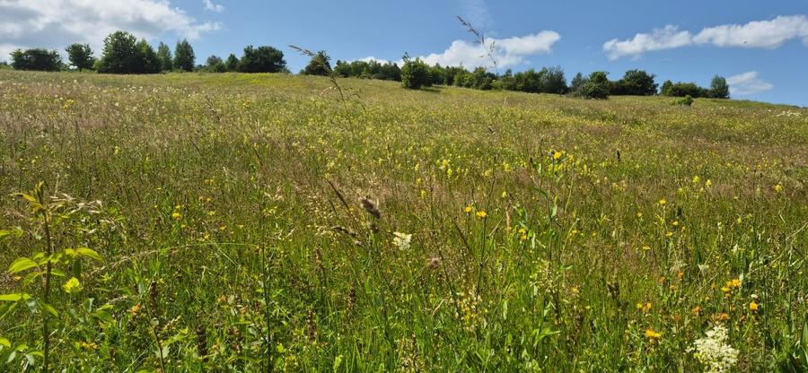 Teren Tohan parcelat in zona pitoreasca - 4