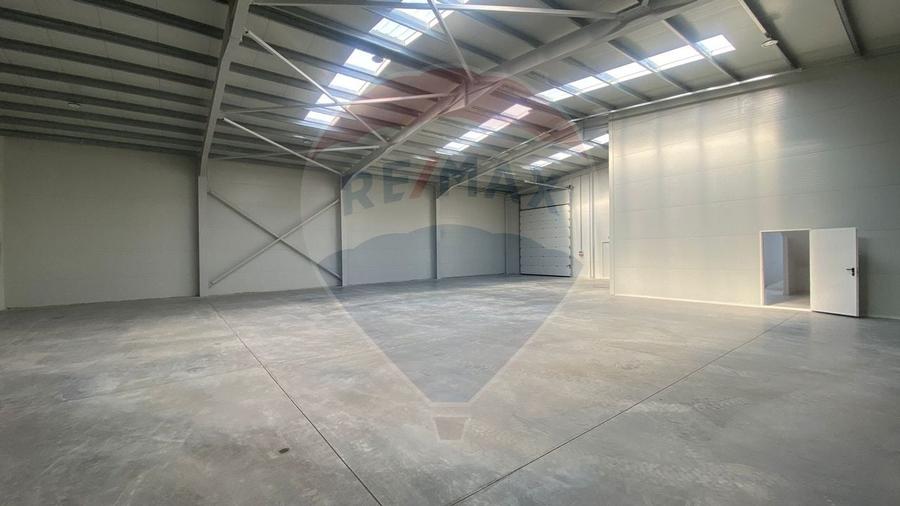 Depozit / hală de închiriat | Acces TIR | Chitila - 5