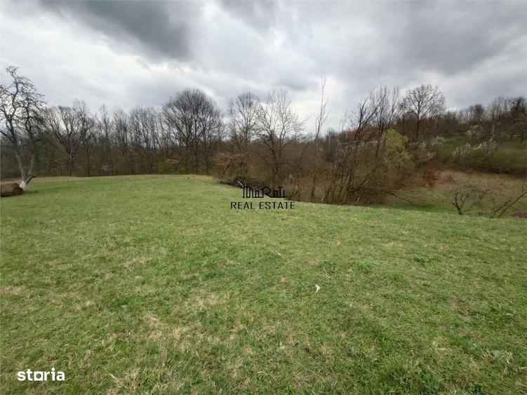 10 000 mp teren intravilan cu priveliste - 2