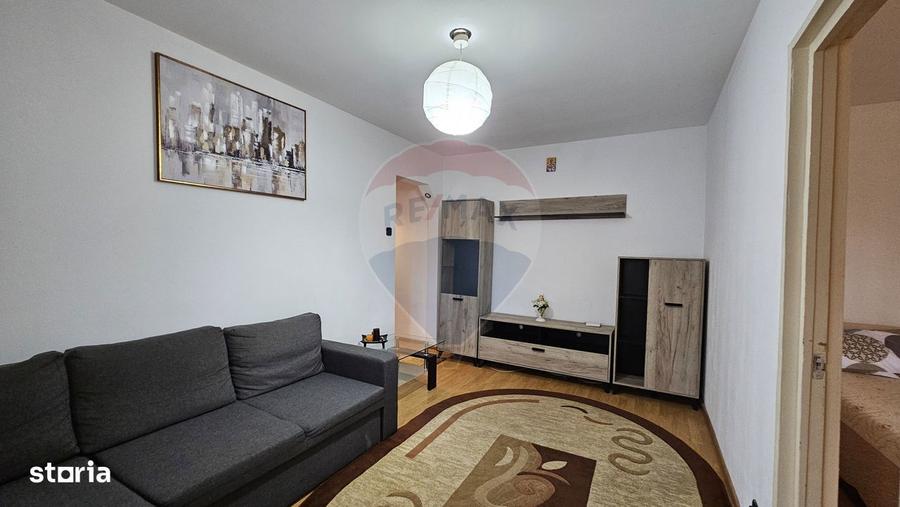 Apartament cu 2 camere de inchiriat in zona Malu Rosu - 7