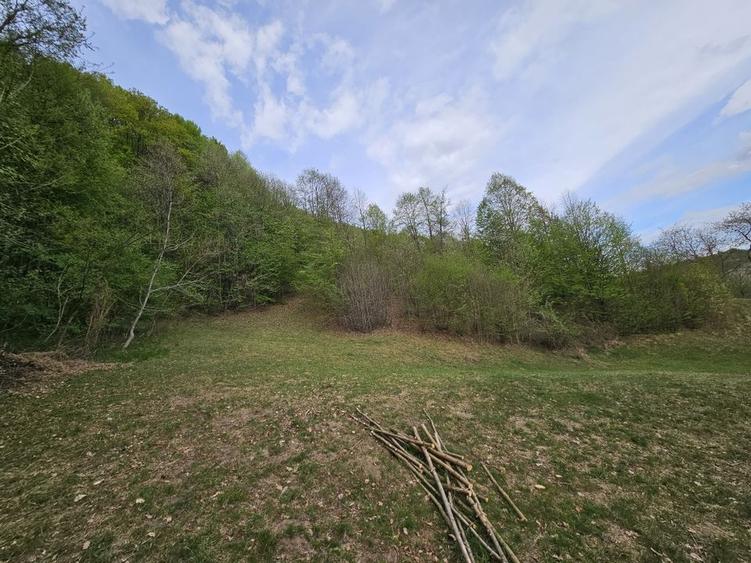 Teren intravilan 1454 mp la marginea padurii zona locuita de case! - 8