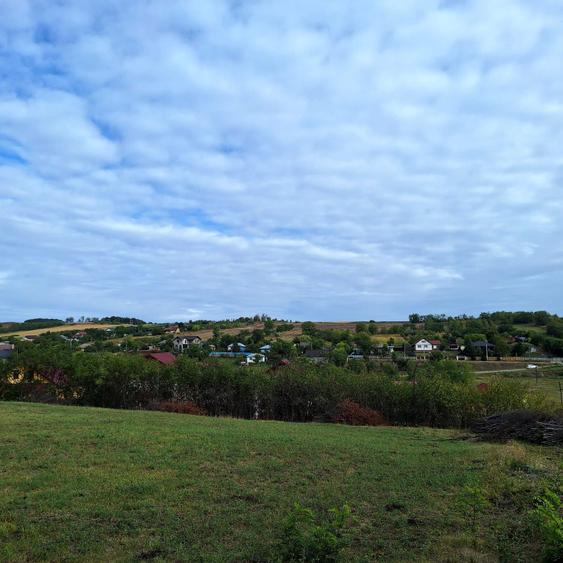 Teren intravilan Proselnici, Miroslava - 2