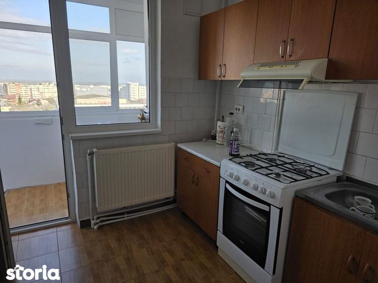 Apartament 2 camere de inchiriat spa?ios, vedere frumoasa, stradal - 10