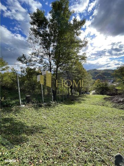 Teren Provita de jos 2300 mp Centru - 4