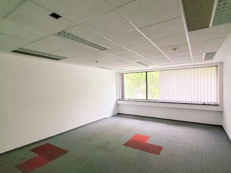 0% comision! Inchiriere birouri Caramfil, 974 - 6273 mp - 13