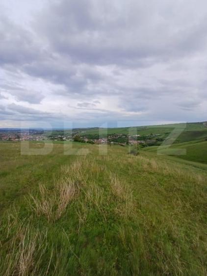 Teren extravilan 1249 mp in Copaceni! Oportunitate investiti - 2