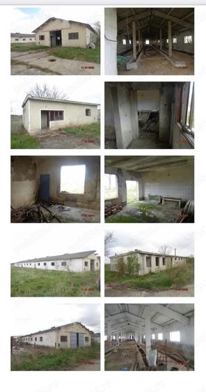 Inchiriez hale 7000 mp si teren intravilan 70000 mp - 7