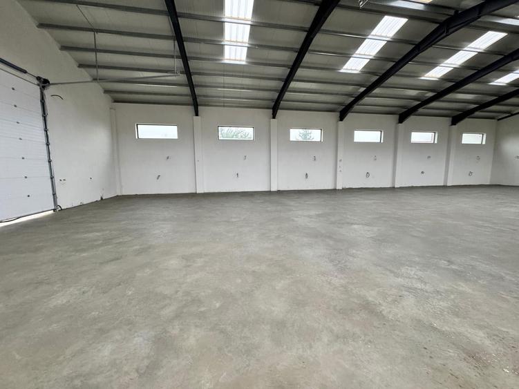De inchiriat 3 spatii de 200 m2 si hala de 450m2 In Radauti - 8