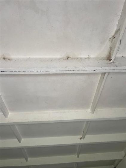 Reco Hala industriala +teren Beius - 2