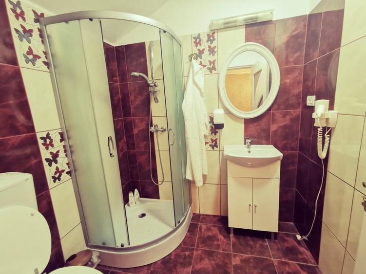 Hanul Potcoava Norocoasa – Business “la cheie“ Ortisoara !! - 26