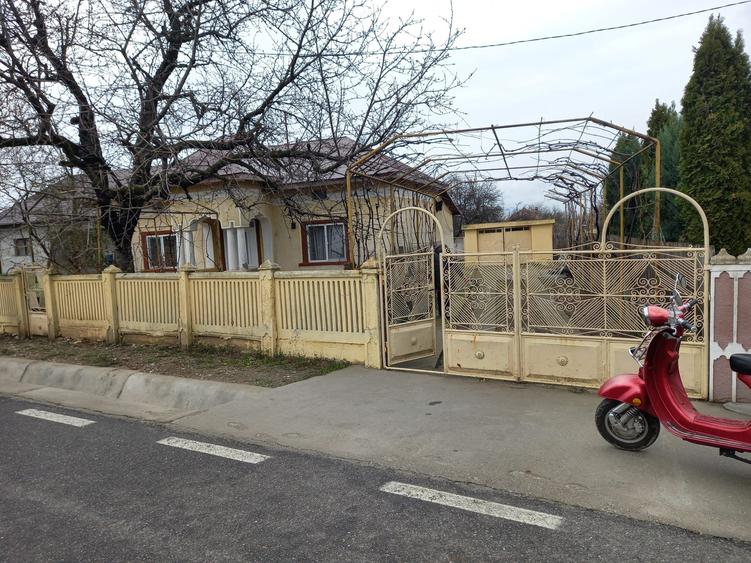 Casa de vanzare in Osica de Sus - 7