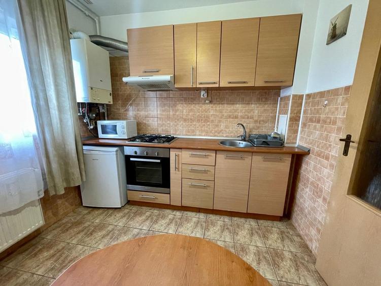 Apartament de închiriat, 2 camere, 55 mp, Plopilor zona Parcul Iuliu Hațieganu - 13