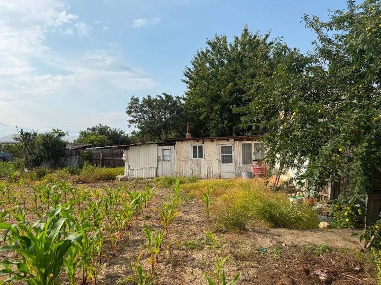 Casă 3 camere + anexe, teren 1700 mp, zona liniștită – Slobozia Ciorăști - 5