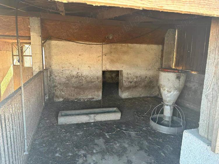 Proprietate de vanzare in Dombegyhaza - Pretabil pentru ferma - 2