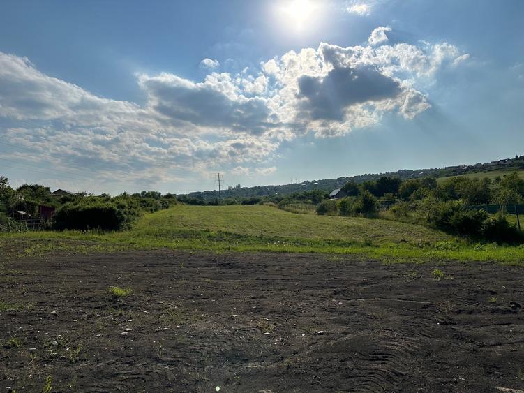 Teren 8.000 mp in Daia Noua / com. Rosia / jud. Sibiu - 3