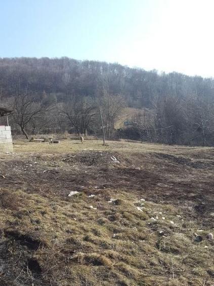 Teren de vinzare. In satul Rusavatul. - 3