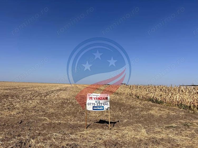 Teren intravilan 5087 mp de vanzare Piele?ti - 1