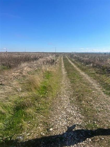 TEREN INTRE LES SI PAUSA - 2