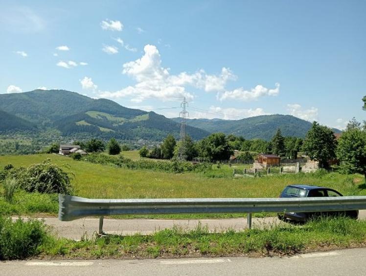 Pământ de vânzare: sat Viișoara, comuna Alexandru cel Bun (zona Gloduri drumul spre Bisericani) - 4