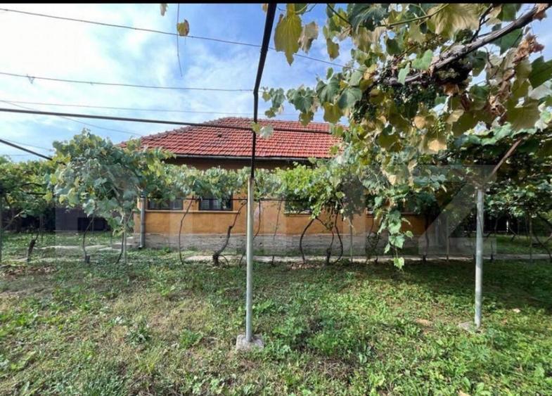 Doua casa de vanzare, teren intravilan 1773 mp, zona Stoloja - 2