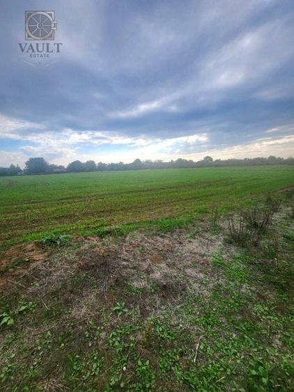 Teren Lucianca - Butimanu - deschidere la DN - 3