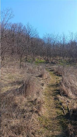 Sat Cercu com Barnova Teren 3000mp cu casa batranesca la str asfaltata si toate - 7